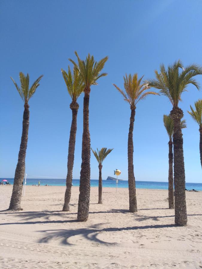 Apartamento Orly Centro Benidorm Eksteriør billede